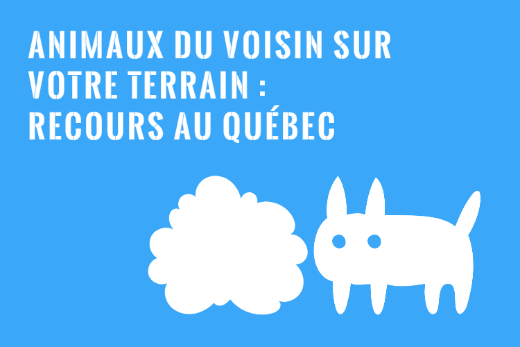 Mon Voisin Passe Sur Mon Terrain Sans Autorisation