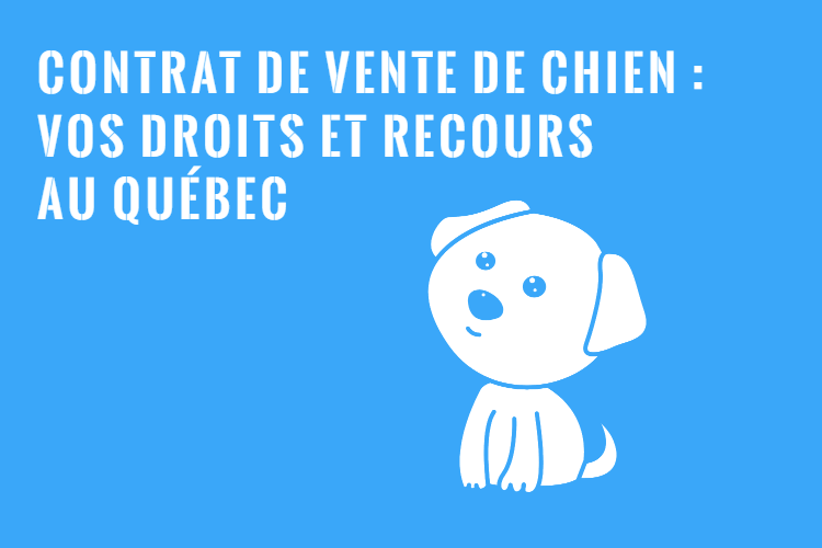 Contrat de Vente de Chien au Québec : Vos Droits et Recours