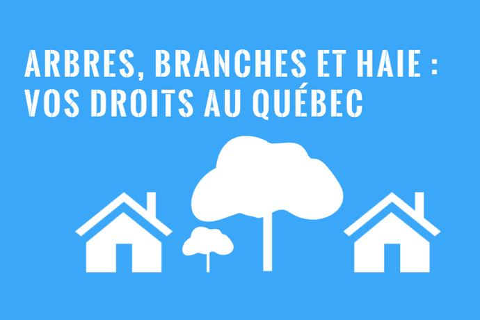 Arbres, Branches et Haie – Troubles de Voisinage et Recours