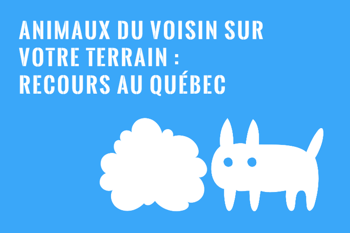 Chien ou Chat du Voisin sur Terrain : Recours au Québec!
