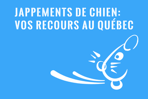 Jappements de chien : Recours au Québec