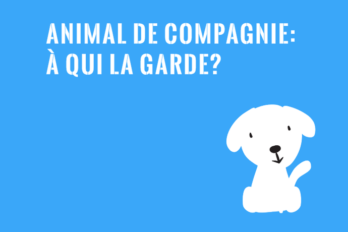 Comment Obtenir la Garde d'un Animal de Compagnie?