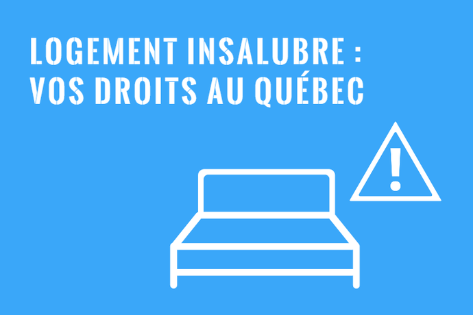 Logement Insalubre ou Impropre à l'Habitation : Droits et Recours