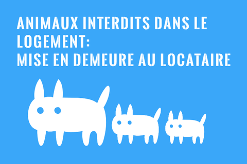 Mise en Demeure au Locataire pour Animaux Interdits