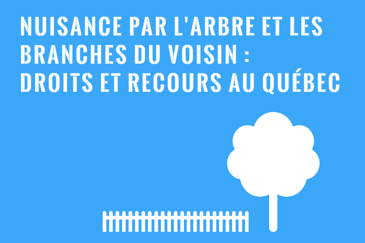 Nuisances par l’Arbre du Voisin : Vos Droits et Recours! – Assistance ...