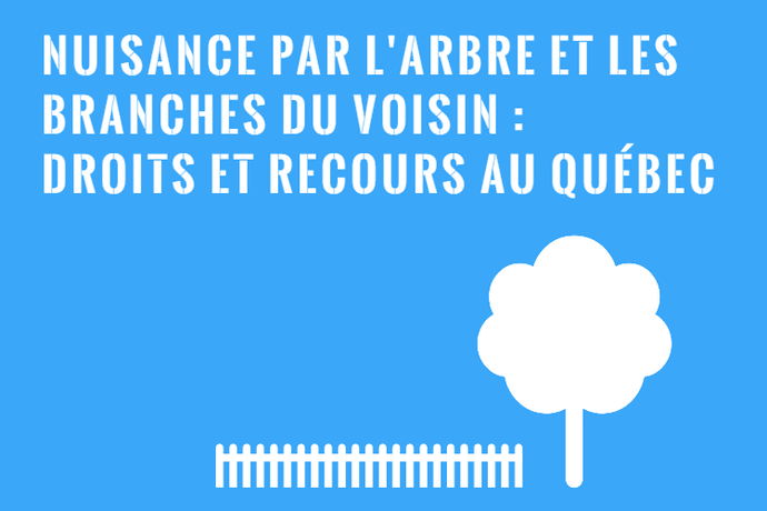 Inconvénients par l’Arbre du Voisin : Droits et Recours!