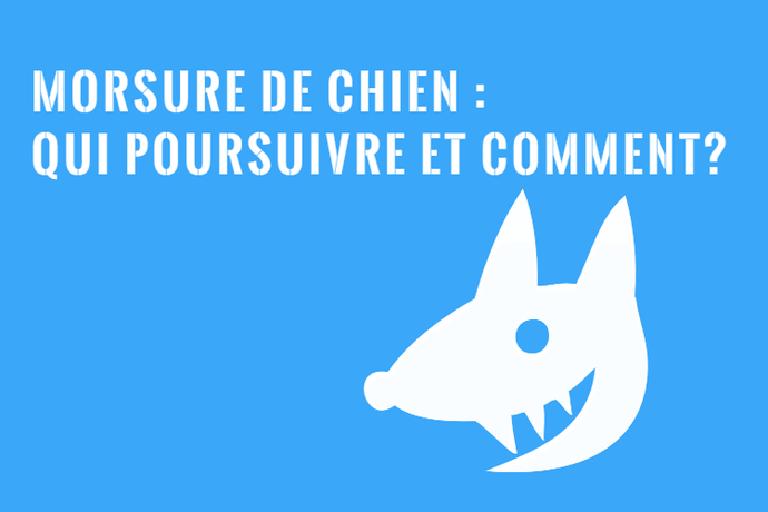 Morsure et Attaque de Chien: Qui Poursuivre et Comment?