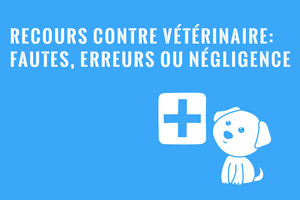 Recours et plainte contre un vétérinaire au Québec