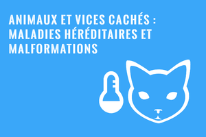 Vices cachés affectant les animaux : Maladies héréditaires et déformations congénitales