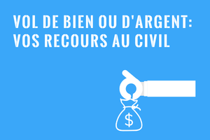 Vol de Biens ou d'Argent : Recours au Québec